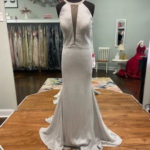 Mori Lee Silver Sparkly Plus Size fit and flare